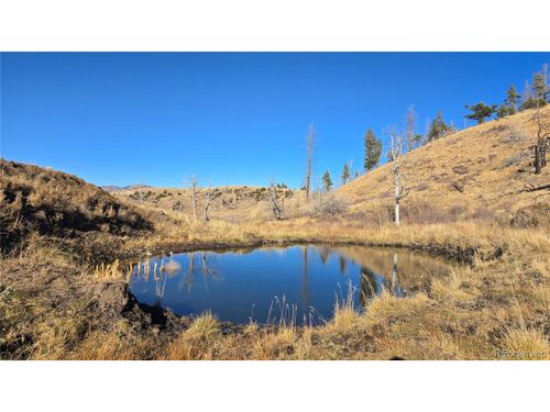 7741 Van Giesen Rd, Fort Garland, CO, 81133 | Card Image