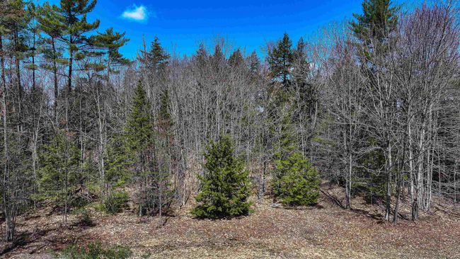 169 S Bridgton Rd, House other with 3 bedrooms, 1 bathrooms and null parking in Bridgton ME | Image 43