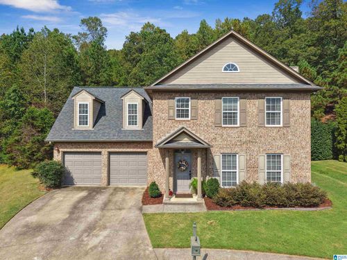 105 Blackstone Ct, CHELSEA, AL, 35043-8199 | Card Image