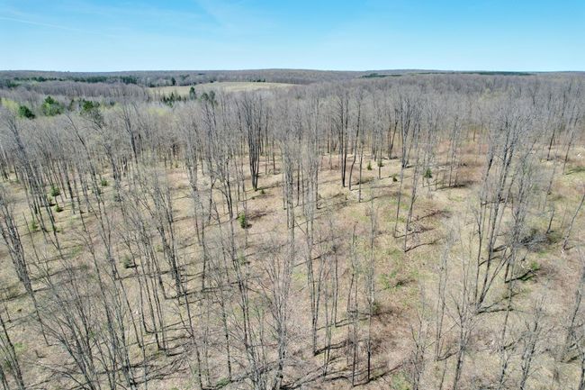 2994 Kentuck Lake Rd, Home with 2 bedrooms, 1 bathrooms and null parking in Phelps WI | Image 38
