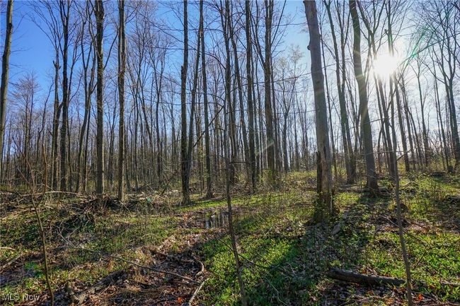 View of landscape | Image 33