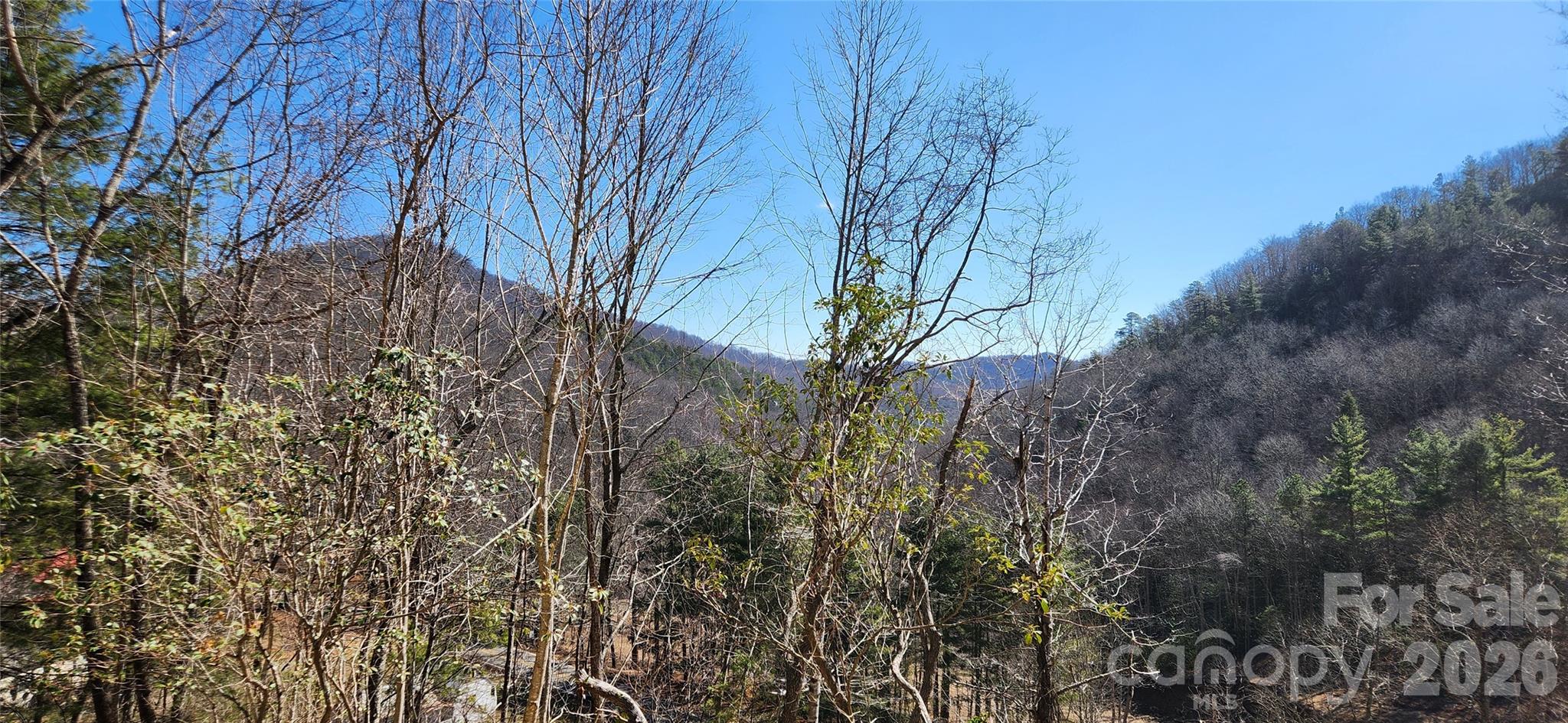 Land in Fairview 2