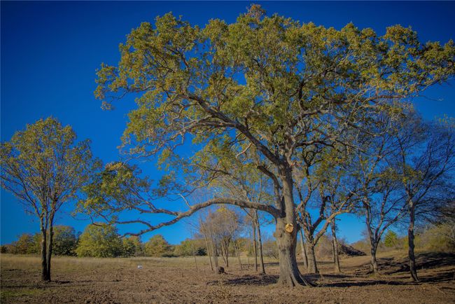 Tract 4 Lazy E Rd, Home with 0 bedrooms, 0 bathrooms and null parking in Saint Jo TX | Image 4