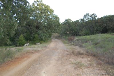 S. 230 rd just as you cross the cattle guard | Image 3