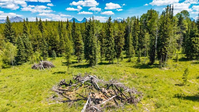 16445 N Fork Rd, Home with 0 bedrooms, 0 bathrooms and null parking in Polebridge MT | Image 7