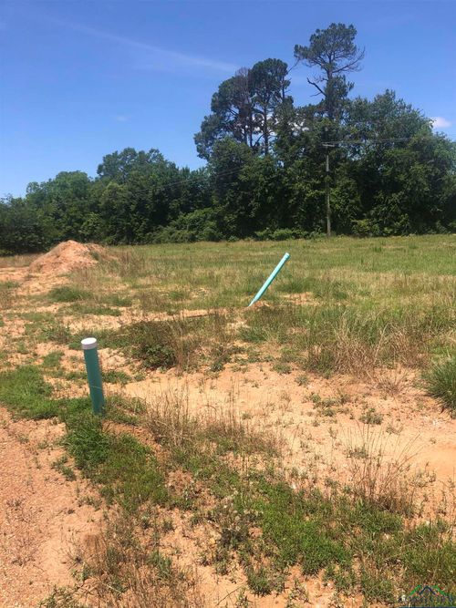 TBD Meadow Lane, Naples, TX, 75668 | Card Image