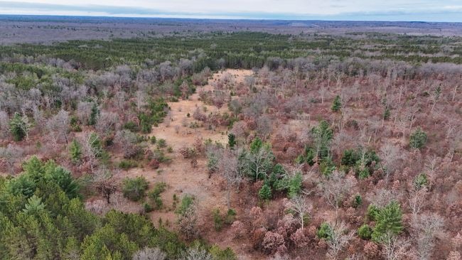 3726 N Custer Rd, Home with 0 bedrooms, 0 bathrooms and null parking in Manistee MI | Image 12