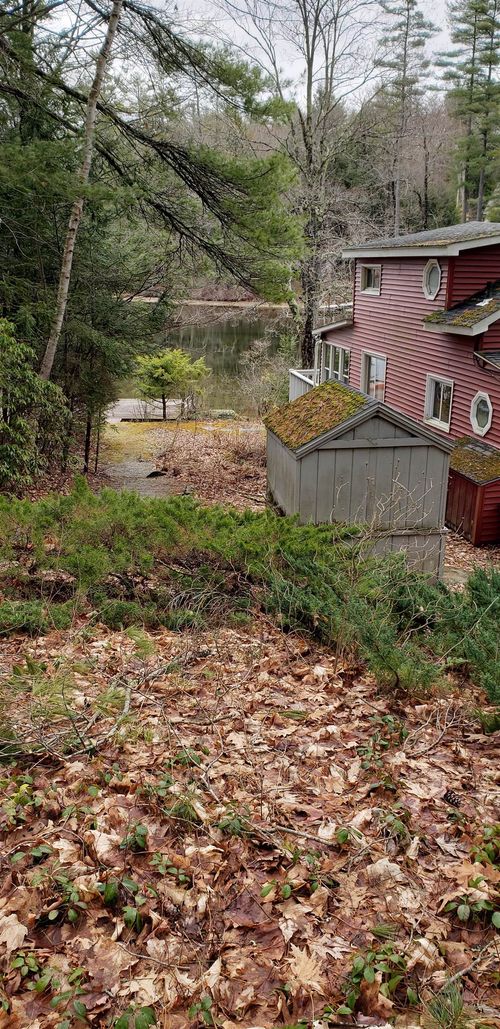 20 W Shore Rd, Swanzey, NH, 03446-3112 | Card Image