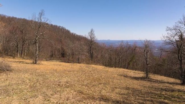 DJI_20250327121635_0746_D | Image 7