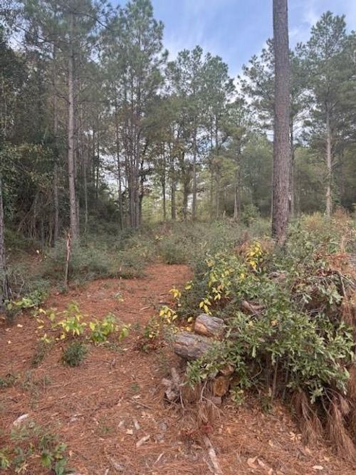 0 Basswood, Plantersville, TX, 77363 | Card Image