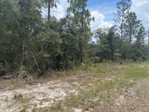 6215 S Premiere Ave, HOMOSASSA, FL, 34446-3250 | Card Image