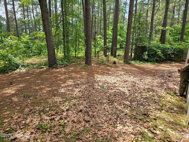 181 Joel Rd, Home with 0 bedrooms, 0 bathrooms and null parking in Carthage NC | Image 18