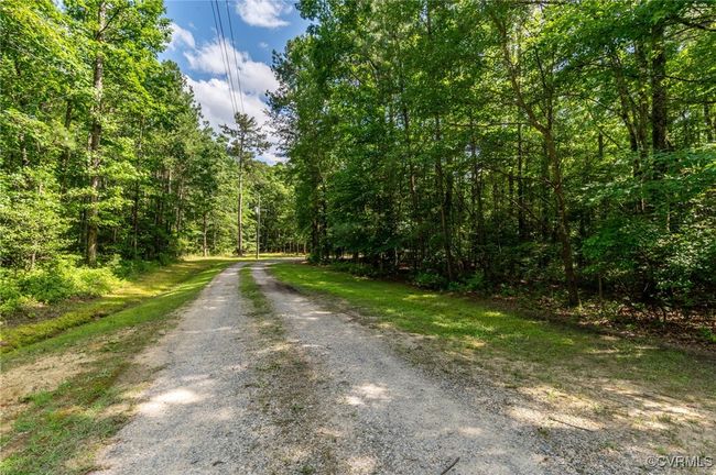 Driveway- OVER 5 ACRES OF WOODED PRIVACY! | Image 49