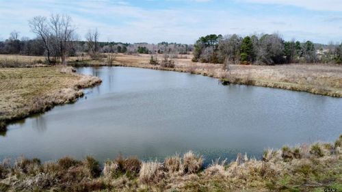 TBD County Road 1460, Linden, TX, 75563 | Card Image