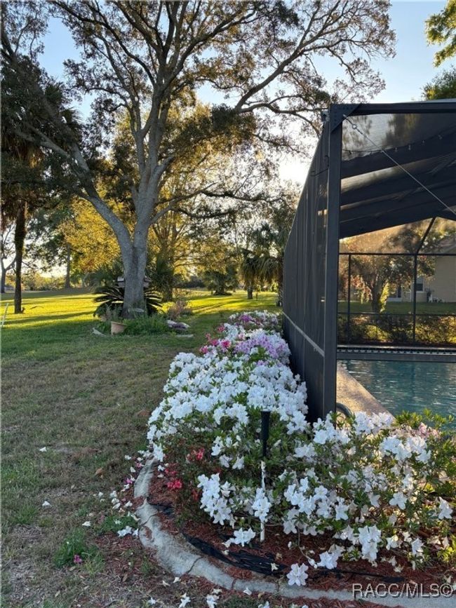 705 E Dakota Ct, House other with 3 bedrooms, 3 bathrooms and 3 parking in HERNANDO FL | Image 51