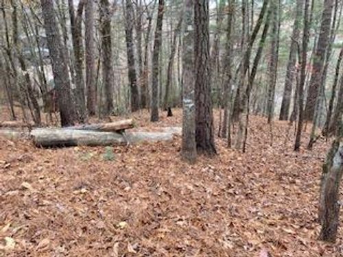Lot 1375 Lyric Ln, Ellijay, GA, 30540 | Card Image