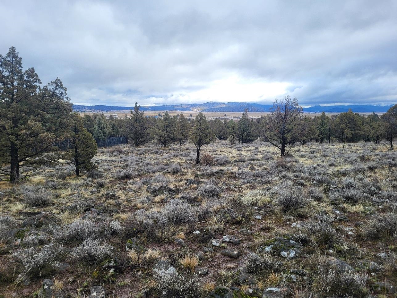Land in Dorris 2