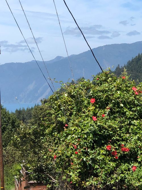 529 Redwood Rd, Whitethorn, CA, 95589-9090 | Card Image