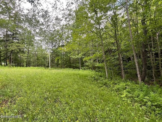 477 Mohawk Trl, House other with 4 bedrooms, 2 bathrooms and null parking in Drury MA | Image 7