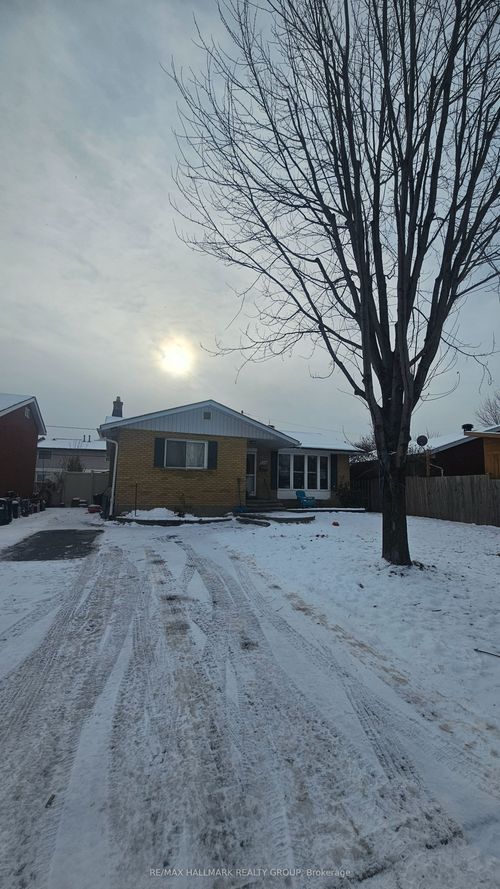 {{alt}} | Card Image