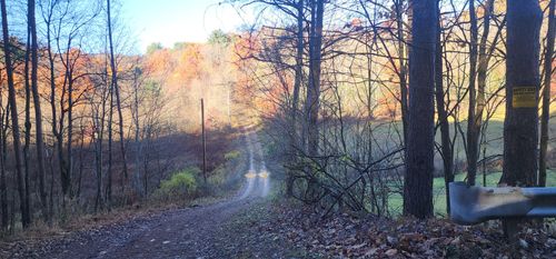 0 Reed Rd, Mayport, PA, 16240 | Card Image