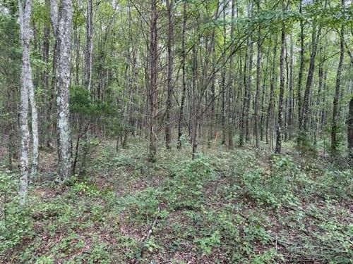 2 Summitville Rd, Morrison, TN, 37357 | Card Image