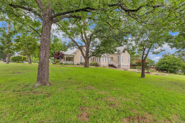 View of green lawn | Image 34