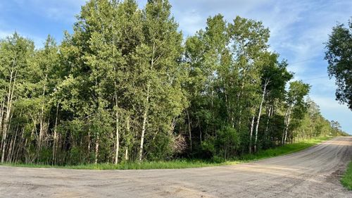 TBD Holly Rd, Park Rapids, MN, 56470 | Card Image