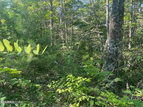 Lot 1 Sycamore Dr, Sevierville, TN, 37876 | Card Image