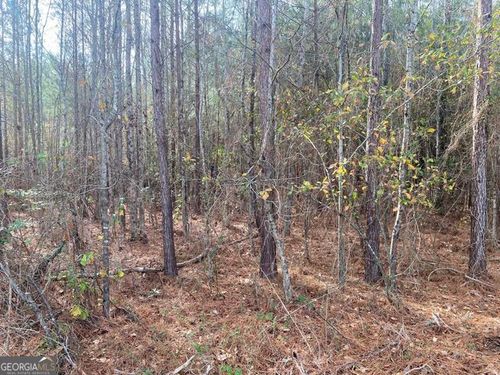 0 Adams Reeves Rd, Dearing, GA, 30808 | Card Image