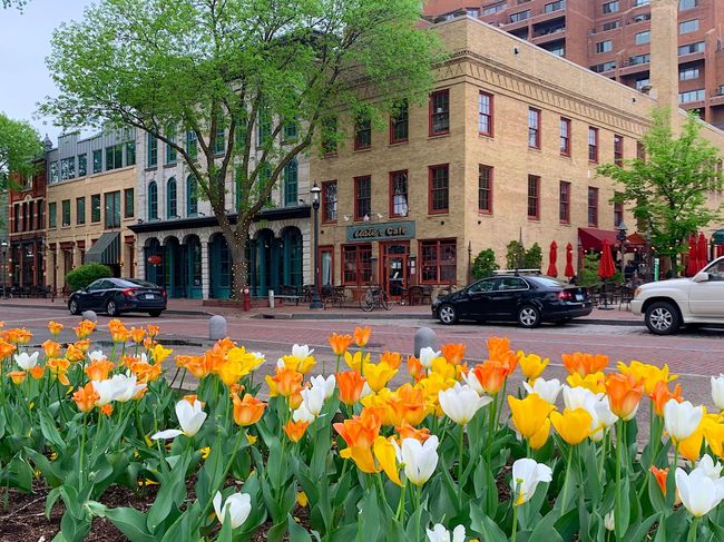 Historic Main Street & Aster Cafe | Image 77