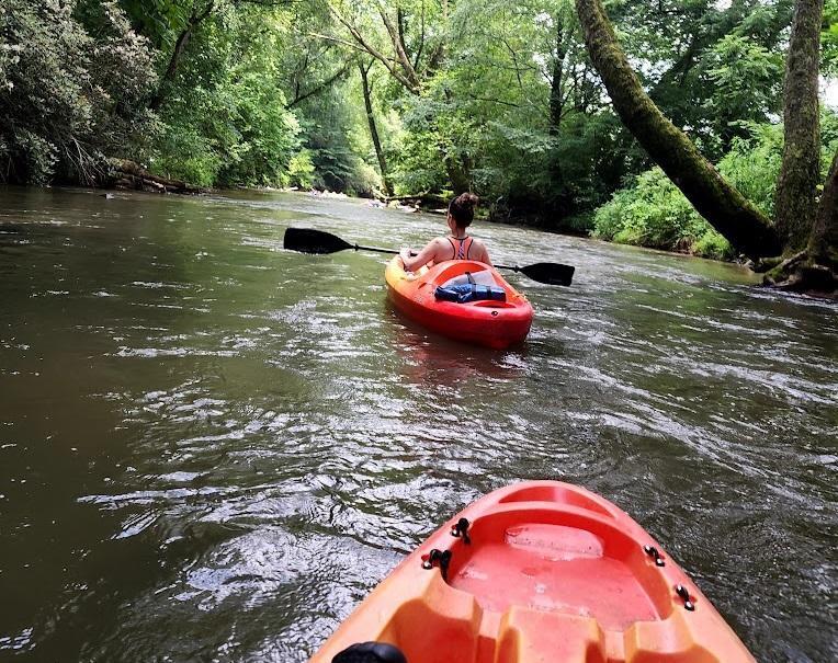 Residential in Ellijay 5