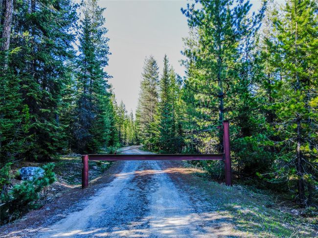 View of dirt / gravel road with a wooded view | Image 46