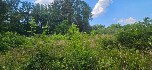 20240613_150947 | Image 13