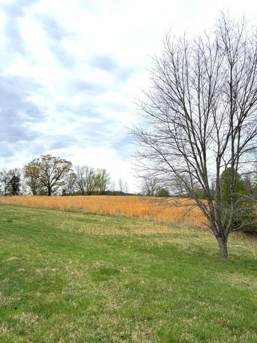 Lot 1 Springhouse Ln, Rocky Mount, VA, 24151-2769 | Card Image