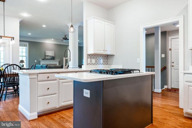 43021 Falls Overlook Ct, House other with 5 bedrooms, 6 bathrooms and null parking in LEESBURG VA | Image 9
