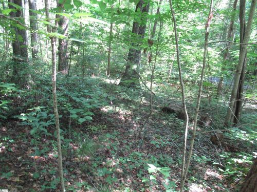 lot-13-gauley-falls-00 Gauley Falls Rd, Pickens, SC, 29671 | Card Image