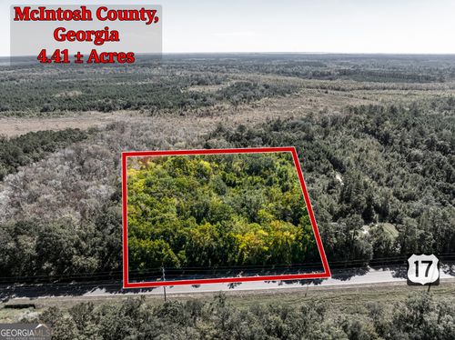 4.41 ACRES Highway 17, Townsend, GA, 31331 | Card Image