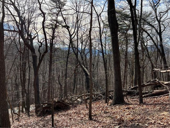 4528 Sassafras Mountain Trl, Home with 0 bedrooms, 0 bathrooms and null parking in Jasper GA | Image 11