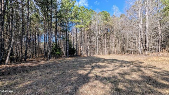 130 Moss Loop, House other with 4 bedrooms, 3 bathrooms and 2 parking in Enville TN | Image 41