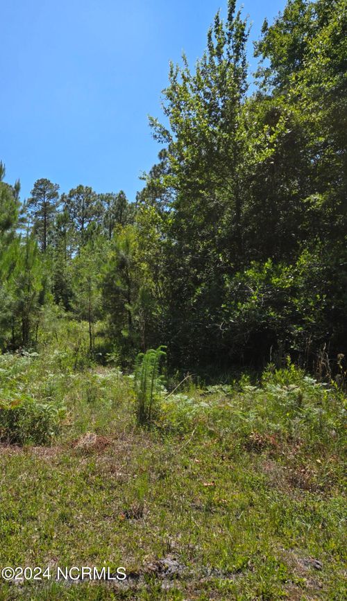 Tr16 Wildwood Rd, Southport, NC, 28461 | Card Image