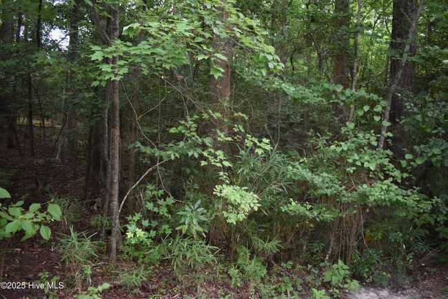 45 Evergreen, Home with 0 bedrooms, 0 bathrooms and null parking in Blounts Creek NC | Image 8