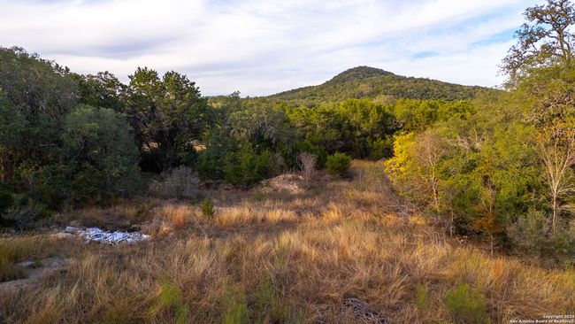 111 Hondo Oaks Dr, Home with 0 bedrooms, 0 bathrooms and null parking in Tarpley TX | Image 17