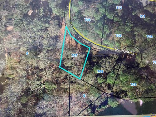 707 Overlook Dr, Montezuma, GA, 31063-1031 | Card Image