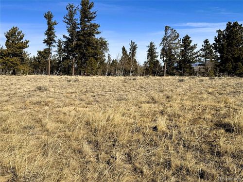 620 Wagon Wheel Rd, HARTSEL, CO, 80449 | Card Image