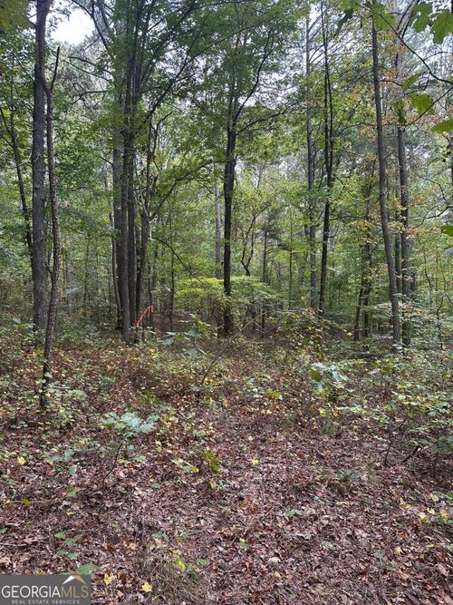 3826 Salacoa-Tract C, Waleska, GA, 30183 | Card Image