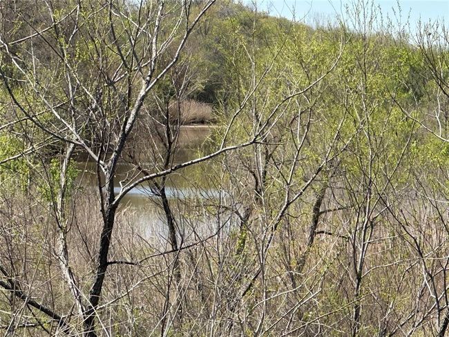 Large Water Shed at West boundary | Image 11
