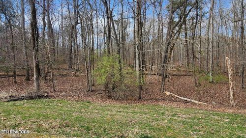 210 E Shore Dr, Rockwood, TN, 37854-5703 | Card Image