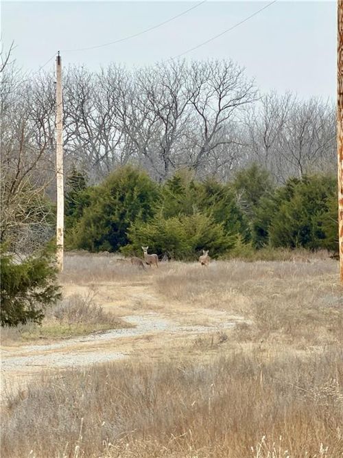 00000 Cr 1900, Independence, KS, 67301 | Card Image