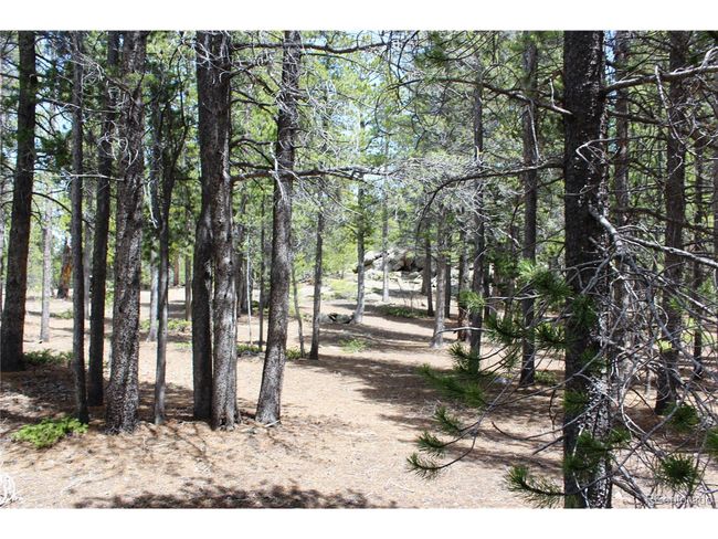 435 Aspen Rd, Home with 0 bedrooms, 0 bathrooms and null parking in Black Hawk CO | Image 28